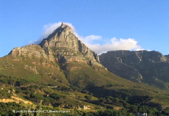 Table Mountain Nature Reserve