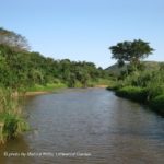 Hluhluwe-Umfolozi Nationalpark
